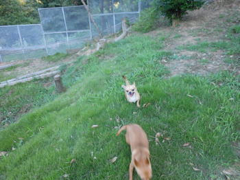 DSCN0307.JPG