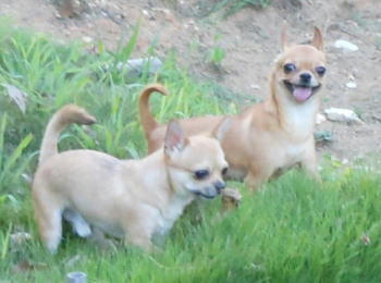 DSCN0308.JPG