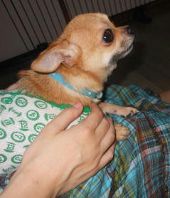 DSCN0469.JPG