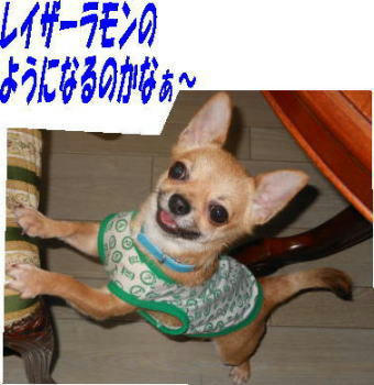 DSCN0481.JPG
