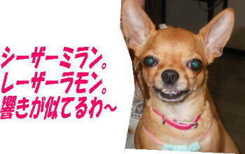 DSCN0484.JPG