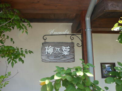 DSCN0665.JPG