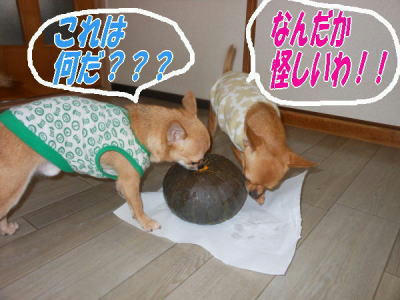 DSCN0814.JPG