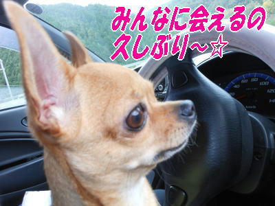 DSCN1417.jpg