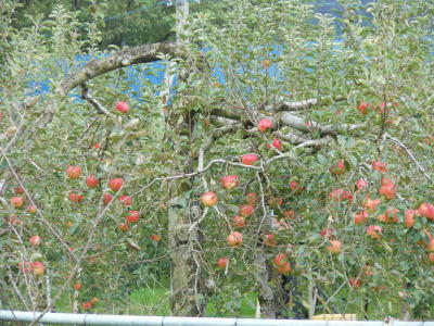 DSCN1436.jpg