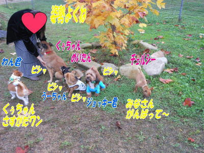 DSCN1454.jpg