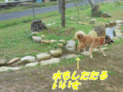 DSCN1420.jpg