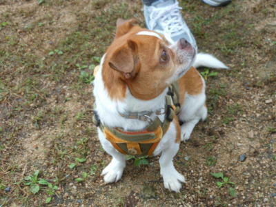 DSCN1434.jpg