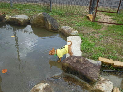 DSCN1427.jpg