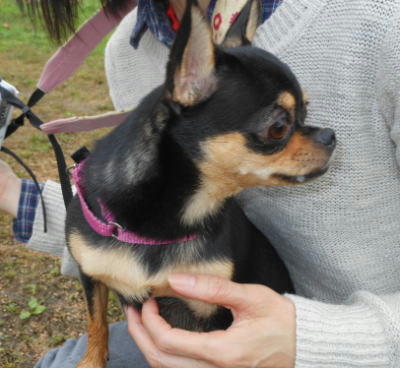 DSCN1428.jpg