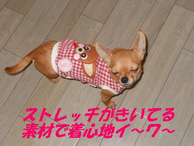 DSCN1888.JPG
