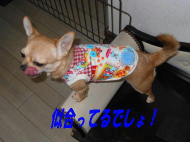 DSCN1902.JPG