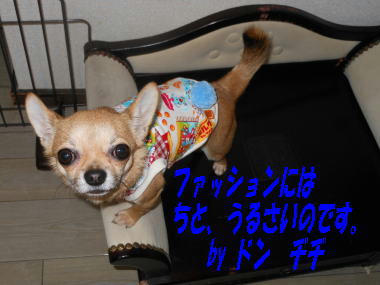 DSCN1900.JPG