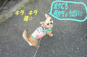 DSCN2064.JPG