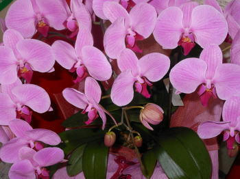DSCN2207.JPG