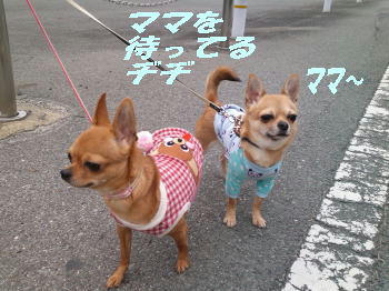 SN3R0511.JPG