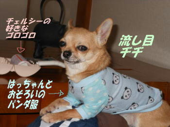 DSCN2213.JPG