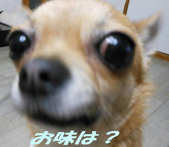 DSCN2346.JPG