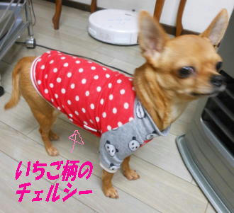DSCN2325.JPG
