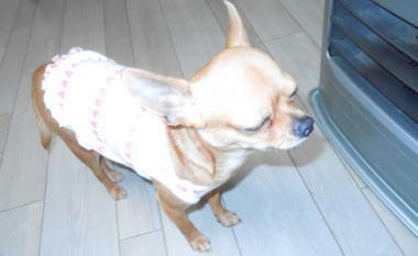 DSCN2617.JPG
