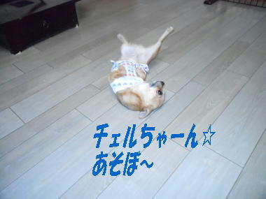 DSCN2621.JPG