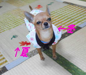 DSCN2634.JPG