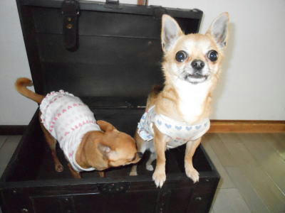 DSCN2673.JPG