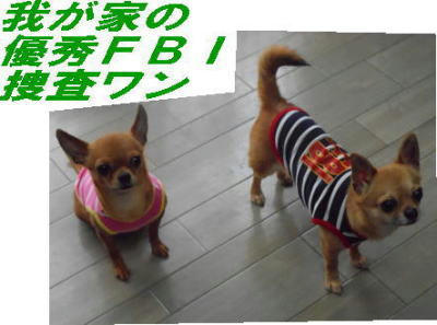 DSCN2731.JPG