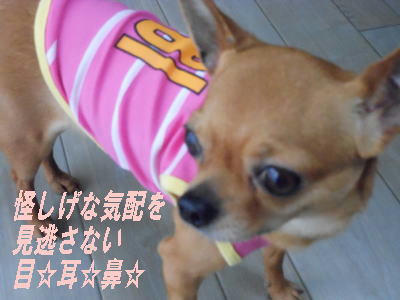 DSCN2725.JPG