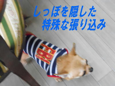 DSCN2719.JPG