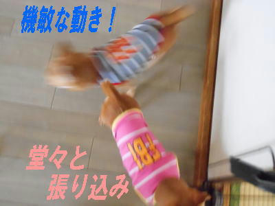 DSCN2717.JPG