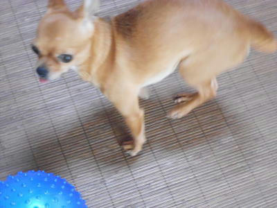 DSCN2738.JPG