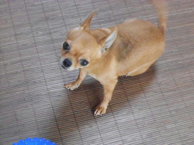 DSCN2739.JPG