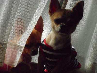 DSCN2780.JPG