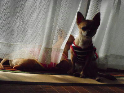DSCN2781.JPG