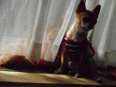 DSCN2782.JPG