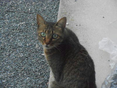 DSCN2784.JPG