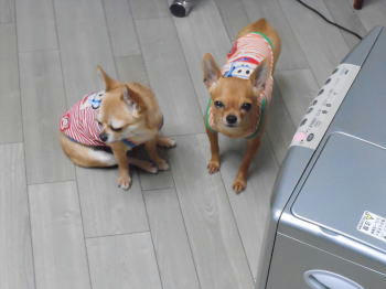 DSCN2808.JPG