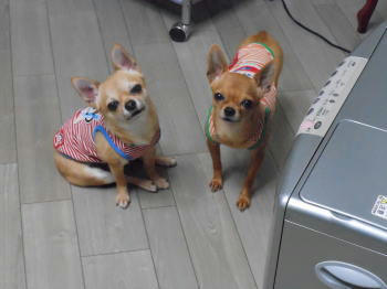 DSCN2809.JPG
