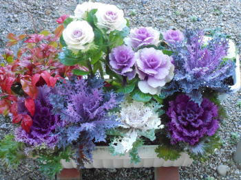 DSCN2818.JPG