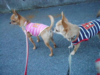 DSCN2831.JPG