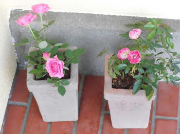DSCN2820.JPG