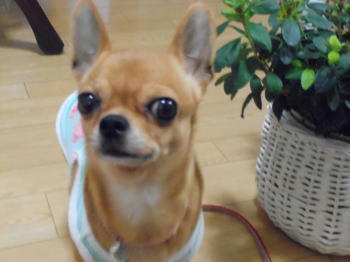 DSCN2852.JPG