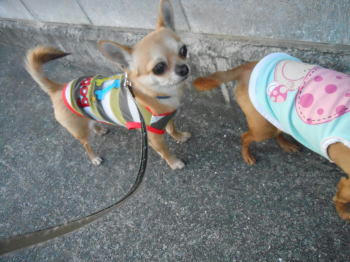 DSCN2858.JPG