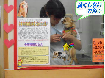 DSCN2867.JPG