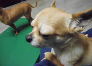 DSCN2950.JPG