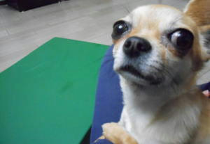 DSCN2951.JPG