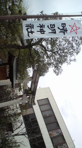 20100318125129.jpg