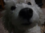 2008_0216ko-to0015.JPG