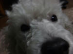 2008_0216ko-to0016.JPG